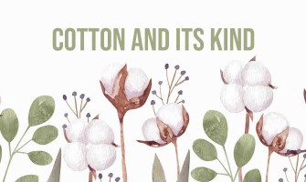 Cotton and its kind Cotton and its kind